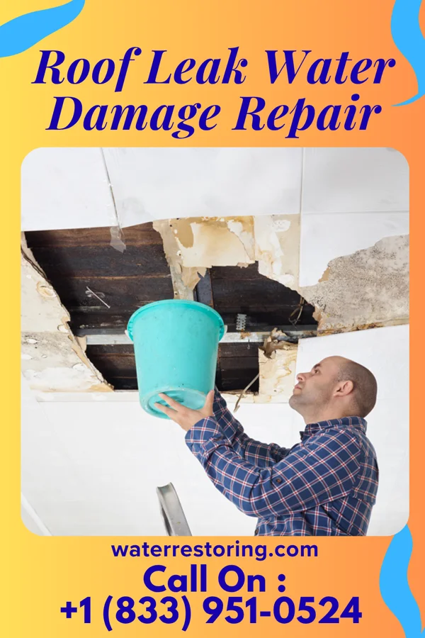 Roof Leak Water Damage Repair in Dove Valley, CO