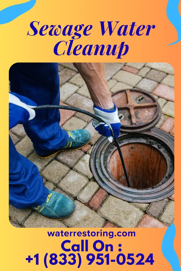 Sewage Water Cleanup in Dove Valley, CO